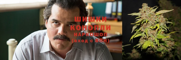 индика Магадан
