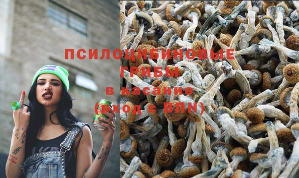 дурь Липки