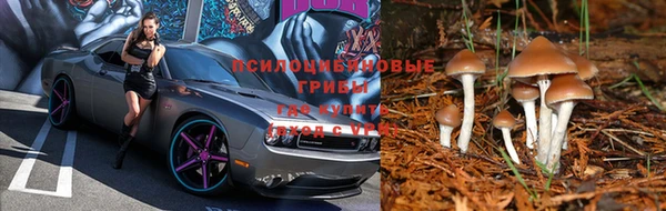 мяу мяу кристалл Магас