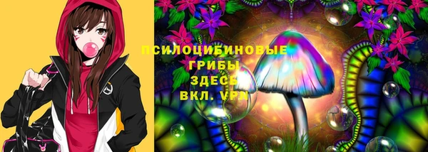 индика Магадан