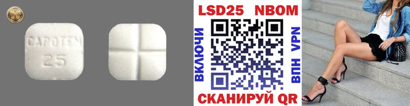 даркнет сайт  Поворино  Лсд 25 экстази кислота 