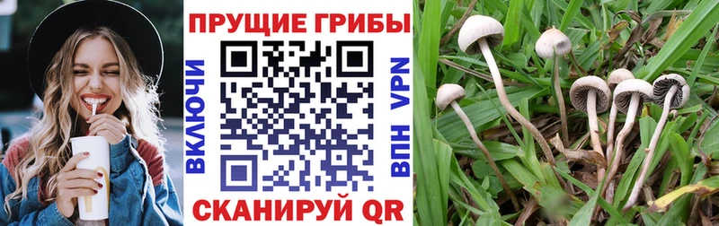 Псилоцибиновые грибы мухоморы  Поворино 